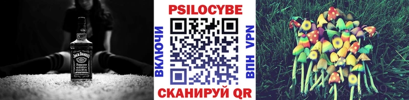 Псилоцибиновые грибы Cubensis  закладка  Спасск 