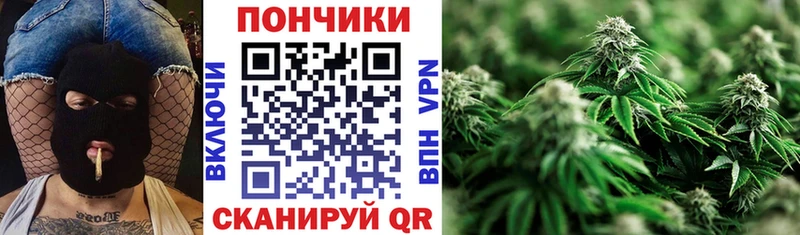 Конопля SATIVA & INDICA Спасск